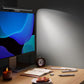 Asymmetric Monitor Screen Light