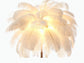 Ostrich Feather LED Floor Lamp